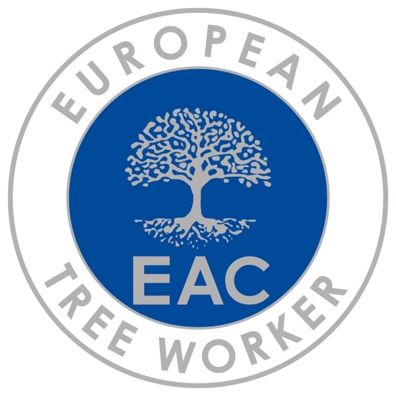 European tree worker in Bamberg